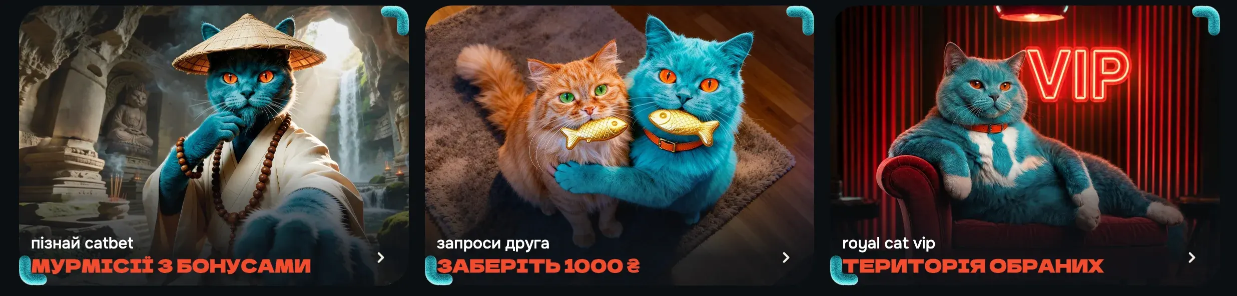 Бонусна лінійка CatBet: основні пропозиції
